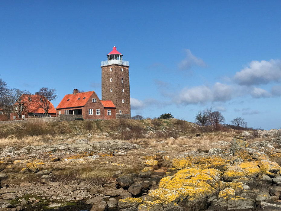 Hullehavn