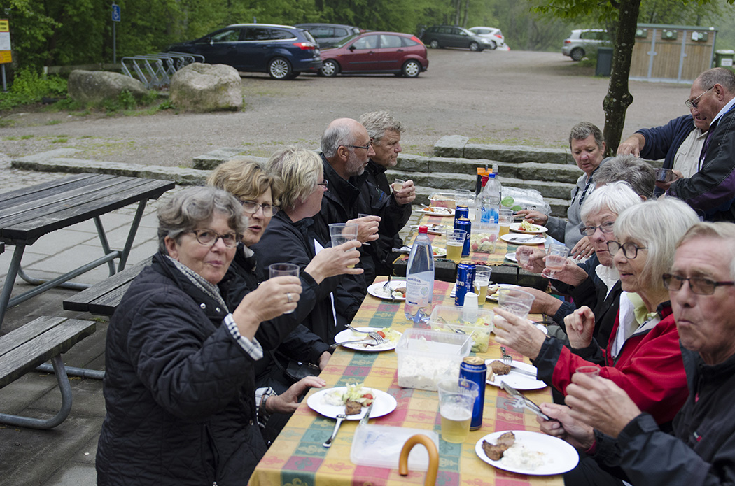 Picnic