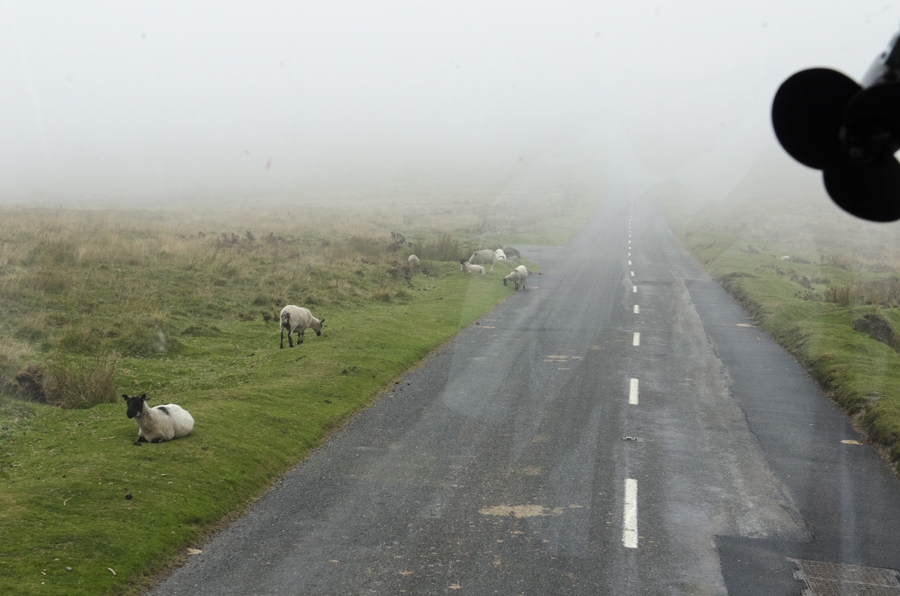 Dartmoor