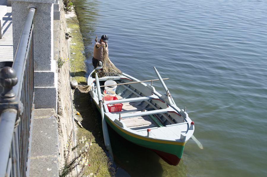 Capo Peloro